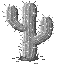 Image of cactus.gif